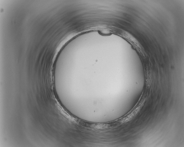 X0000060780808200511241818