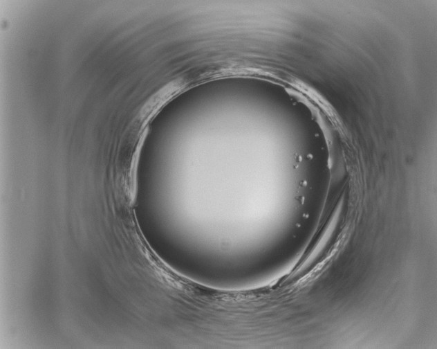 X0000060780809200511241818