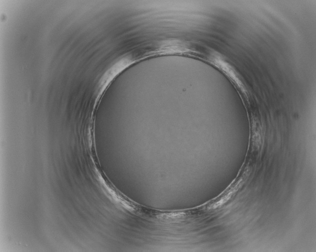 X0000060780810200511241818