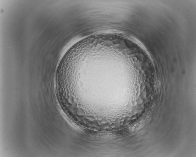 X0000060780811200511241818