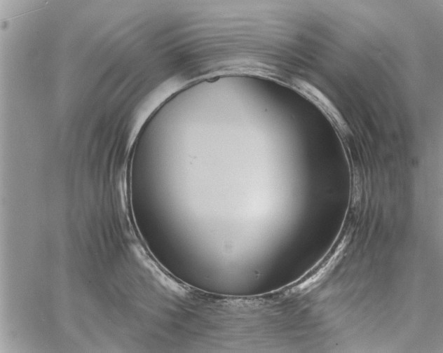 X0000060780812200511241818