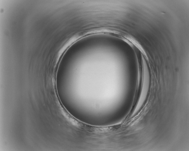 X0000060780813200511241818