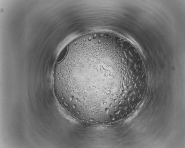 X0000060780814200511241818