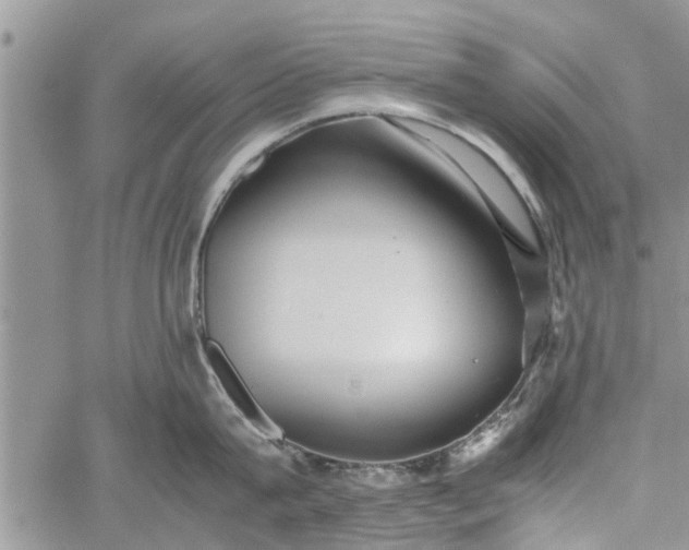 X0000060780815200511241818