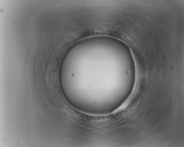 X0000060780817200511241817