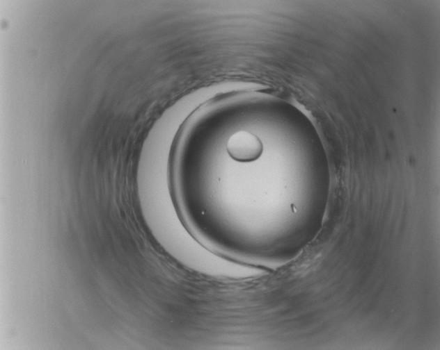 X0000060780818200511241817