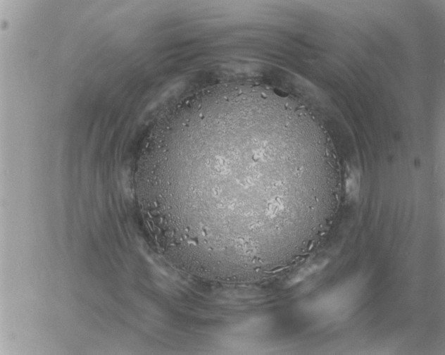 X0000060780819200511241817