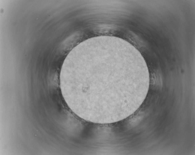 X0000060780820200511241817