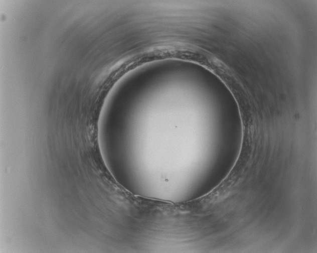 X0000060780822200511241817