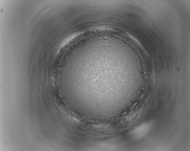 X0000060780823200511241817