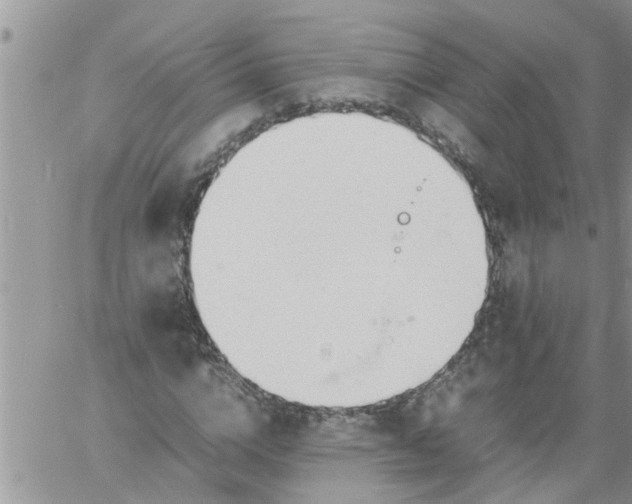 X0000060780824200511241817