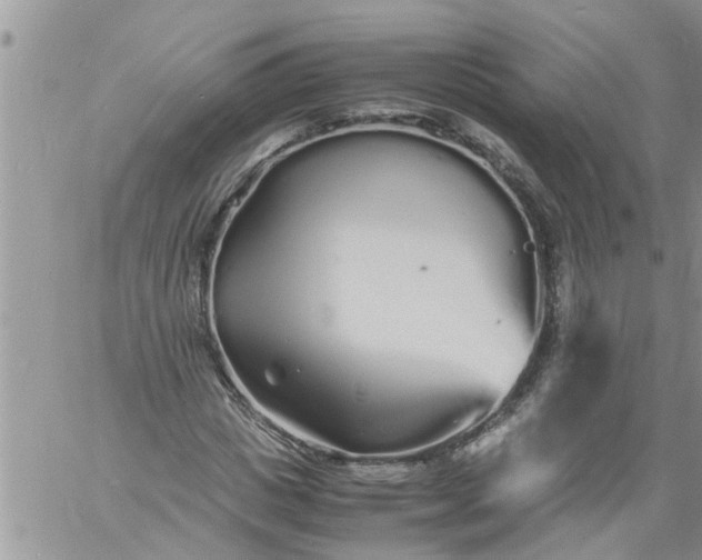 X0000060780825200511241817