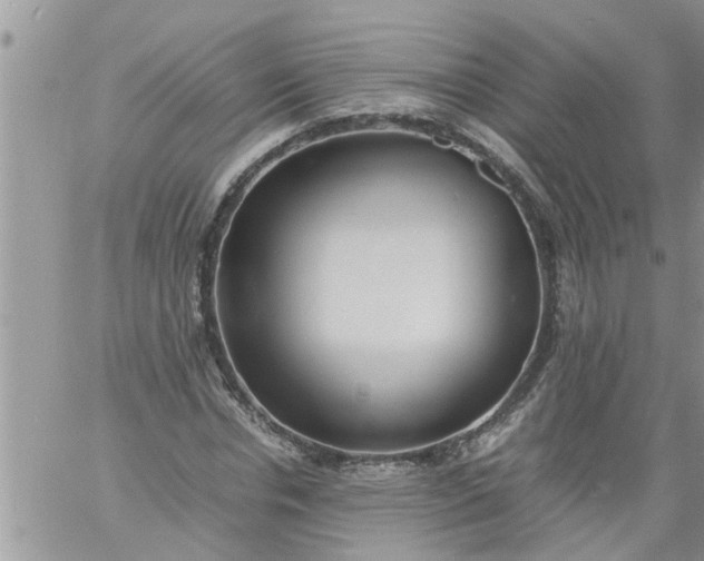 X0000060780826200511241817