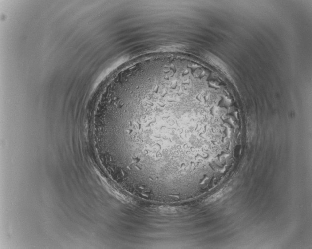 X0000060780827200511241817