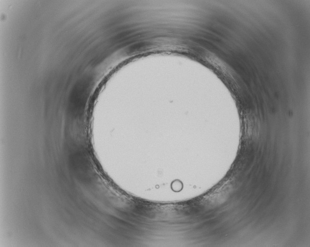 X0000060780828200511241817