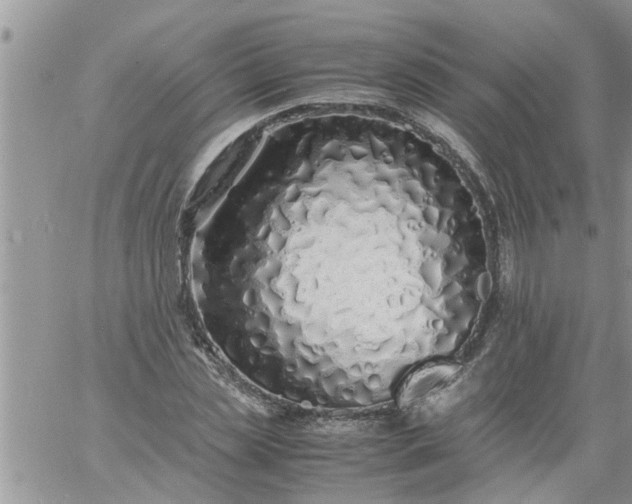 X0000060780829200511241817