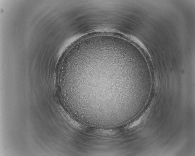 X0000060780831200511241817