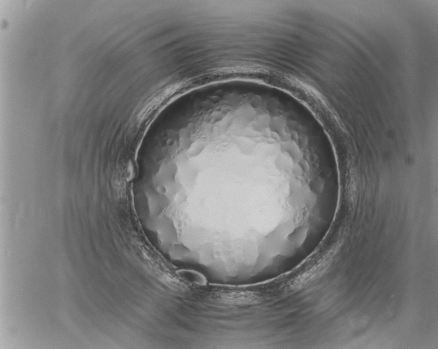 X0000060780833200511241817