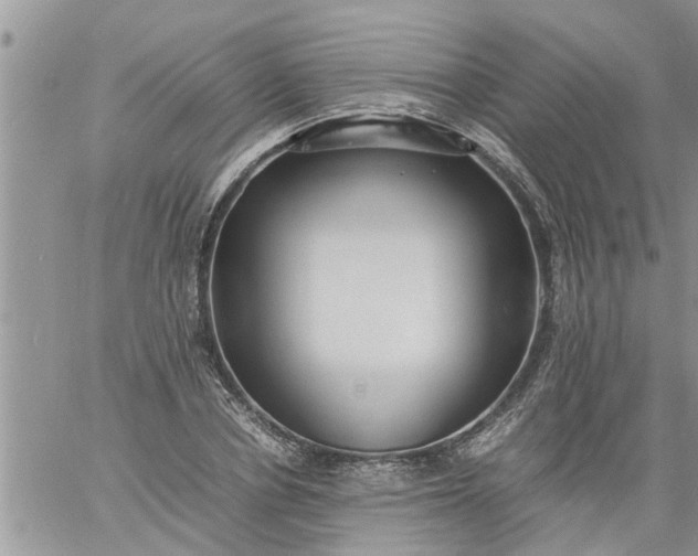 X0000060780834200511241817