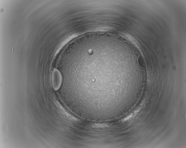 X0000060780835200511241817