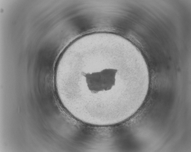 X0000060780836200511241817