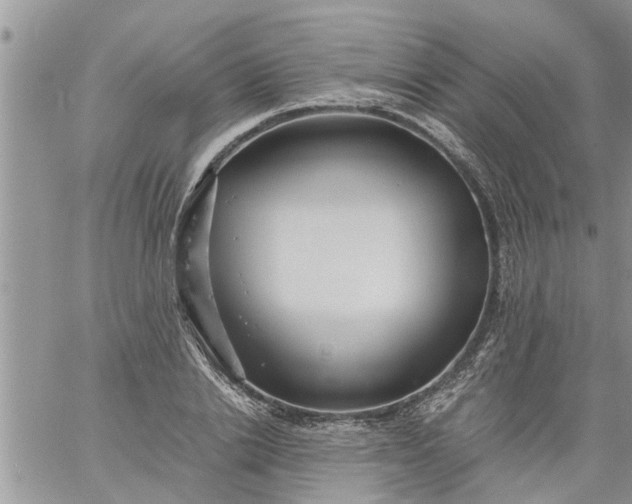 X0000060780838200511241817