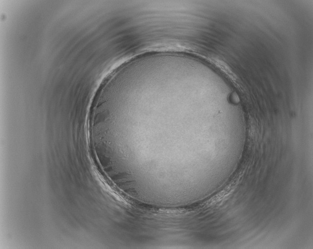 X0000060780840200511241817