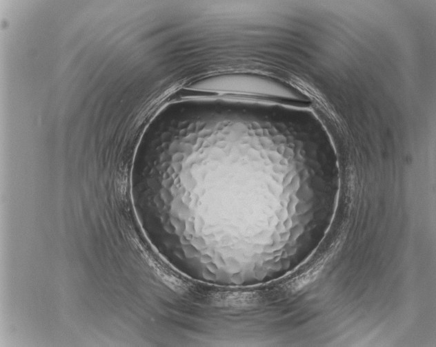 X0000060780841200511241817