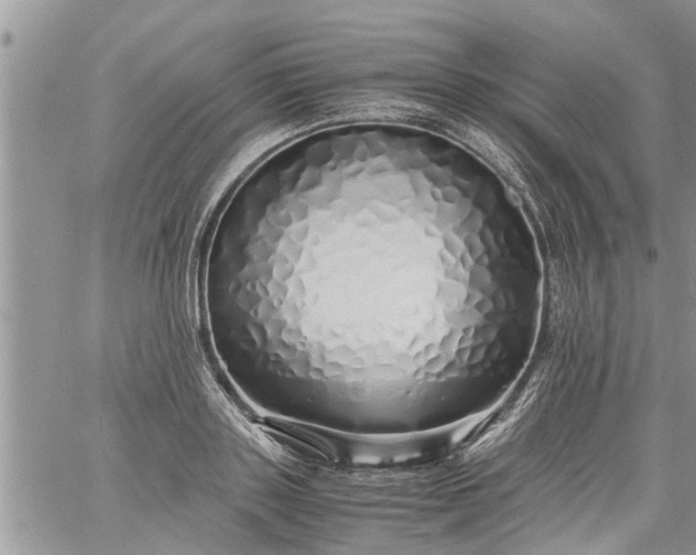 X0000060780843200511241817