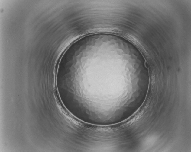 X0000060780844200511241817