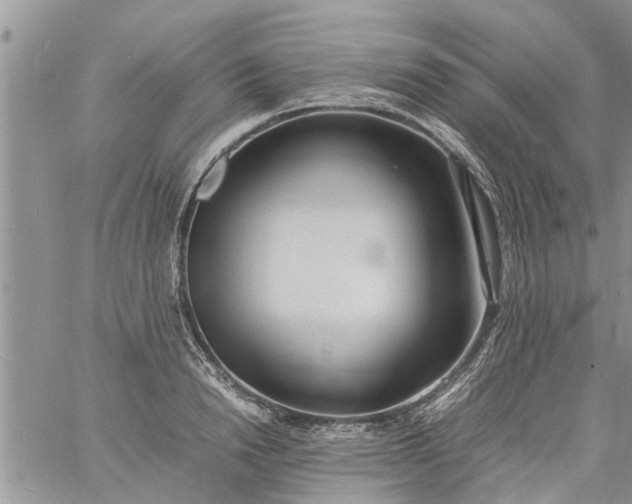 X0000060780846200511241817