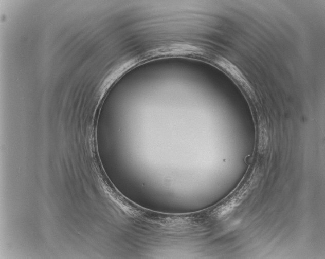 X0000060780850200511241817