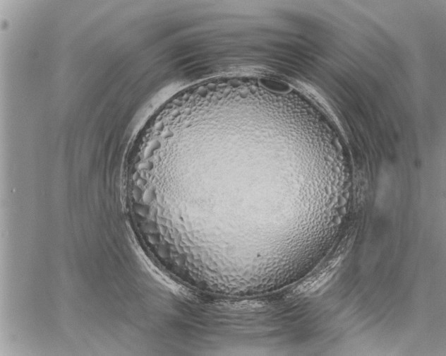 X0000060780851200511241817