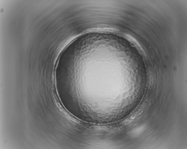 X0000060780852200511241817