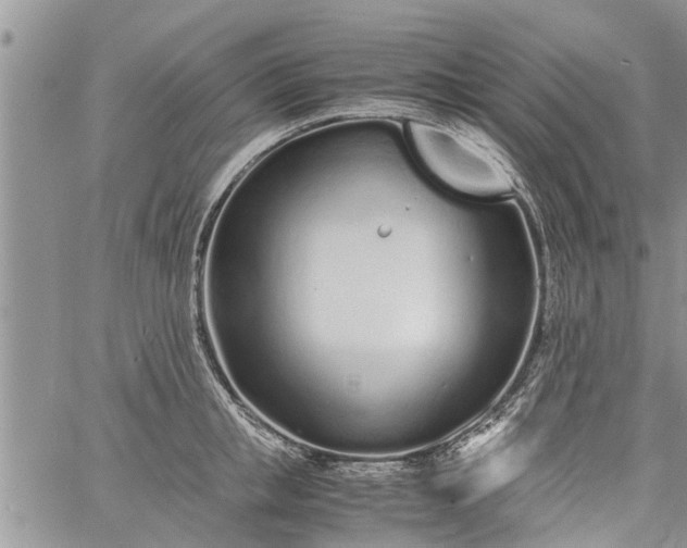 X0000060780853200511241817