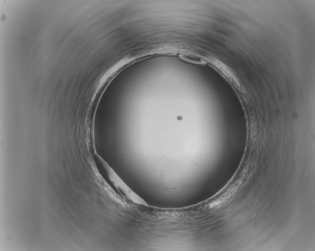 X0000060780854200511241817