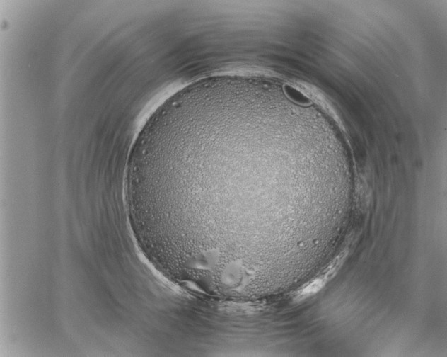 X0000060780855200511241818