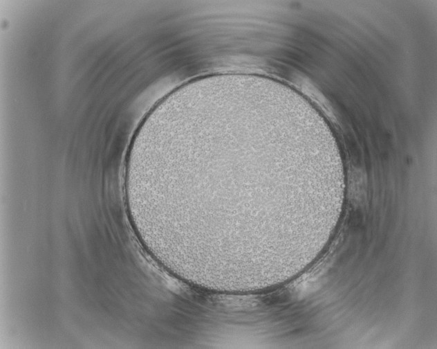 X0000060780856200511241818