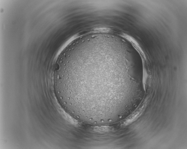 X0000060780859200511241818