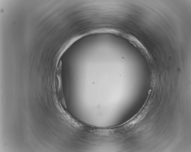 X0000060780860200511241818