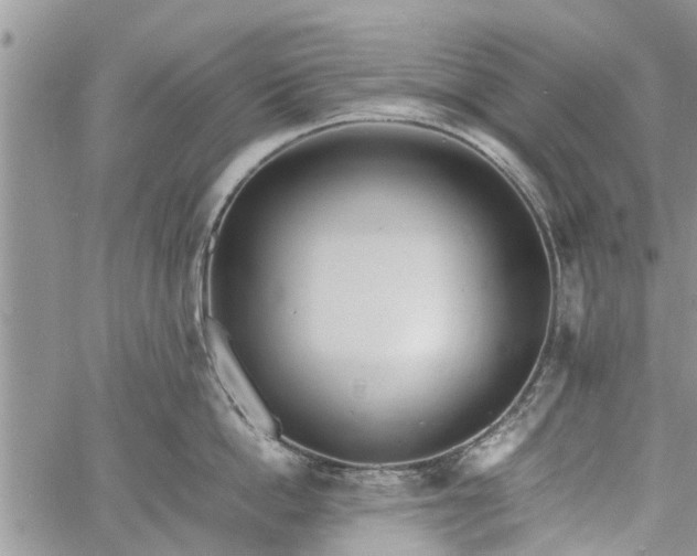 X0000060780862200511241818