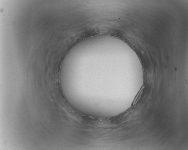 X0000060780865200511241817