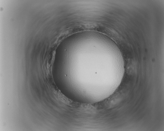 X0000060780866200511241817