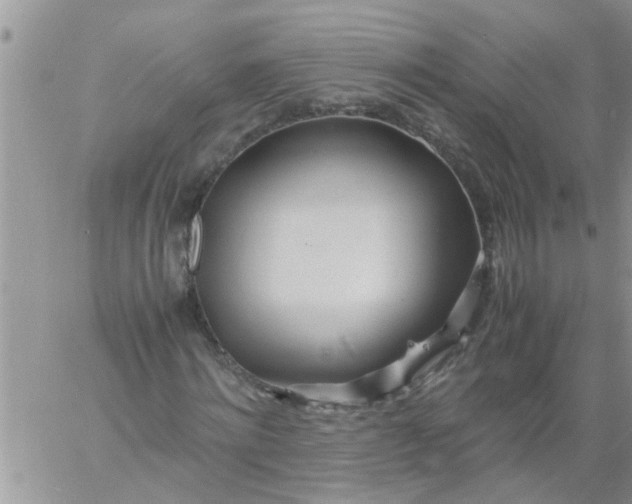 X0000060780868200511241817