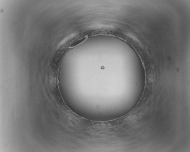 X0000060780869200511241817