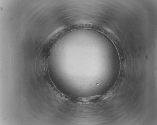 X0000060780870200511241817