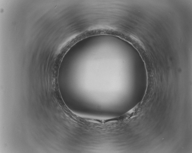 X0000060780872200511241817