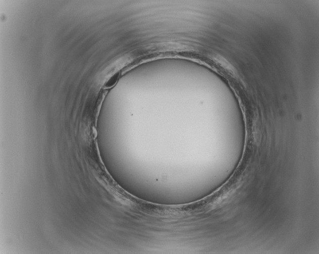 X0000060780873200511241817