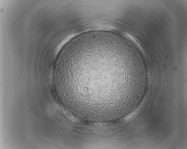 X0000060780875200511241817