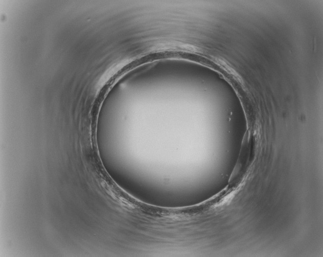 X0000060780877200511241817